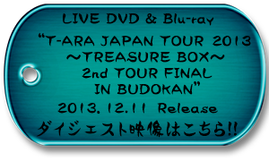 「T-ARA JAPAN TOUR 2013 ～TREASURE BOX～ 2nd TOUR FINAL IN BUDOKAN」ダイジェスト