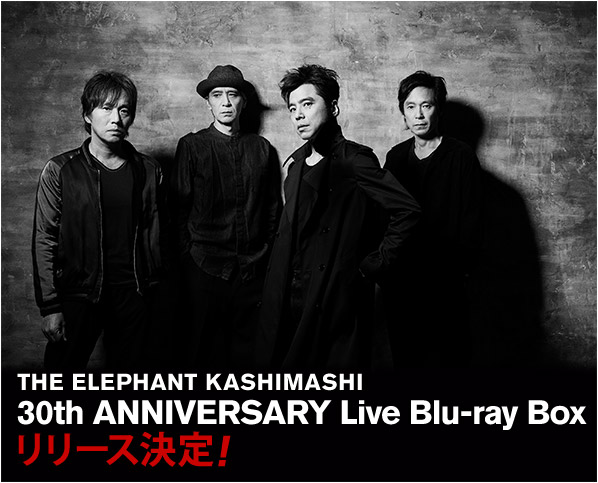 THE ELEPHANT KASHIMASHI 30th ANNIVERSARY Live Blu-ray Box リリース決定！