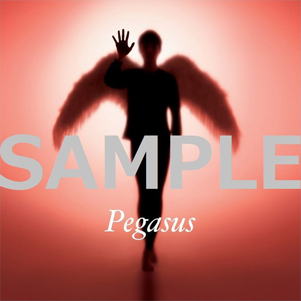 「Pegasus」メガジャケ(24cm×24cm）