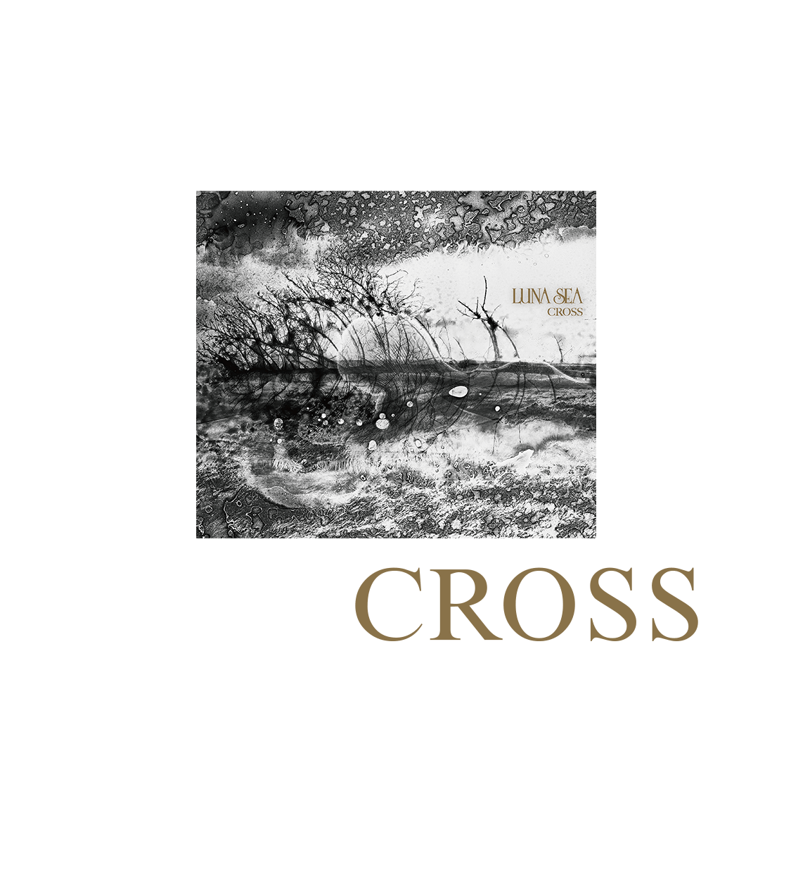 LUNA SEA NEW ALBUM「CROSS」18th Dec,wed Release！ Set to release on our 30th anniversary year, 10th studio album “CROSS” is finally finished!Co-Produced by five-times Grammy winner Steve Lillywhite!