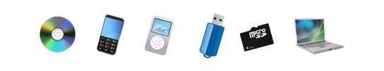 CD/DVD,着うた(R),USB,MicroSD,製品へのプリインストール