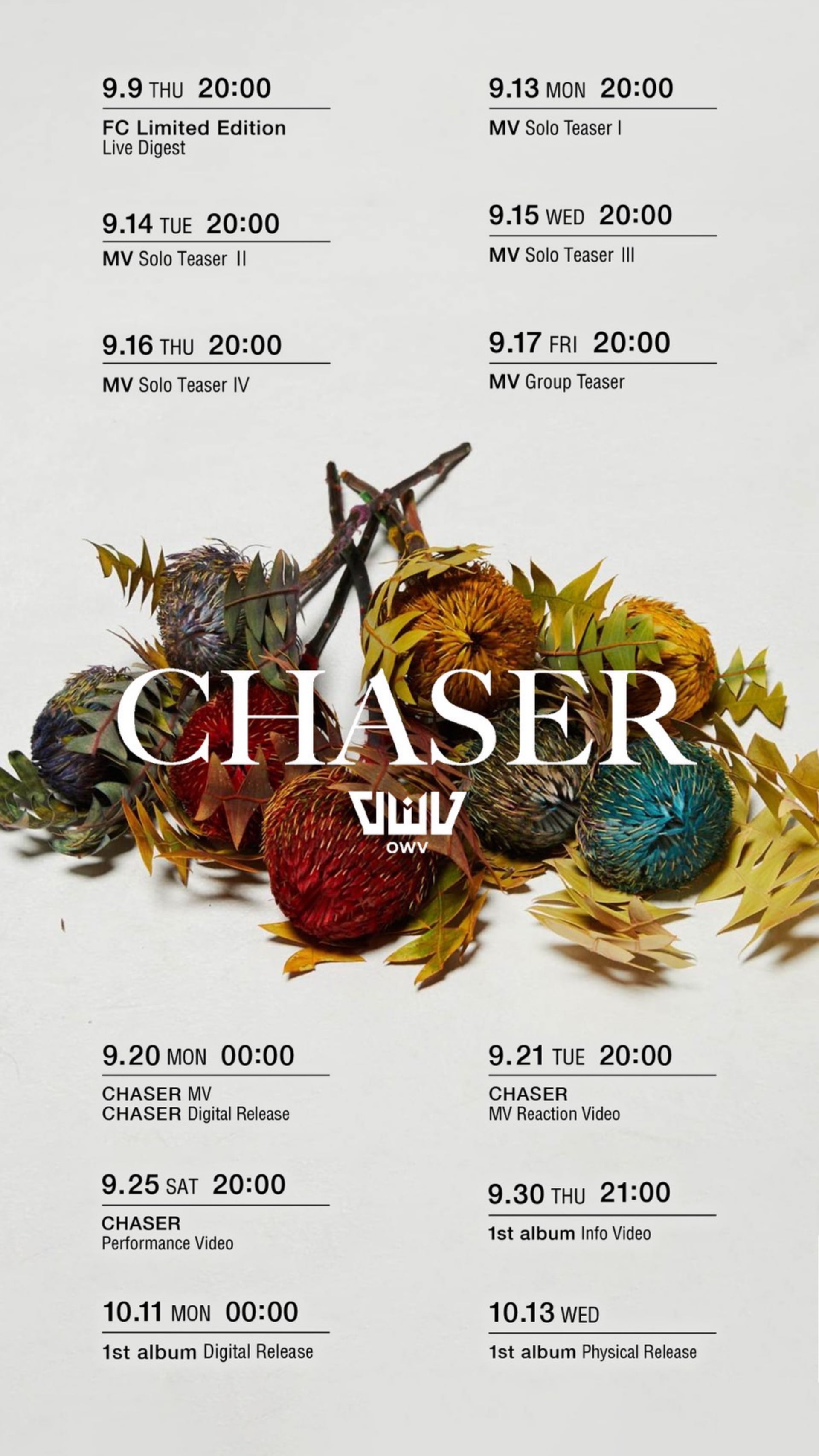 OWV 1st album「CHASER」Special Site