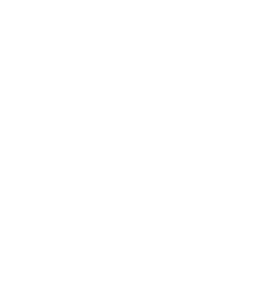 Social media icons