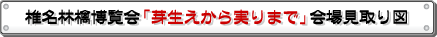 会場見取り図